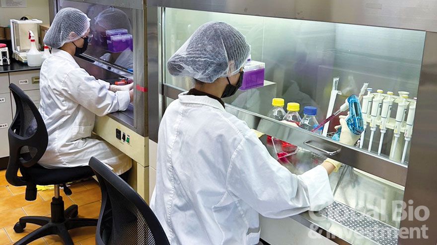 醫工系同學實驗操作中