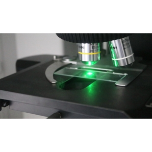 雷射光+金屬奈米顆粒，陽明交大將偵測汞含量極限推至0.2ppb