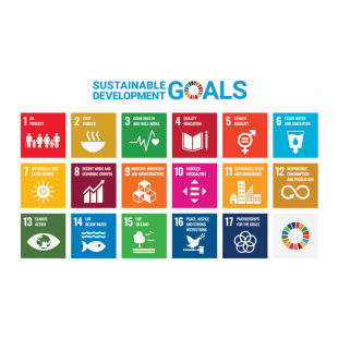 SDGs.png