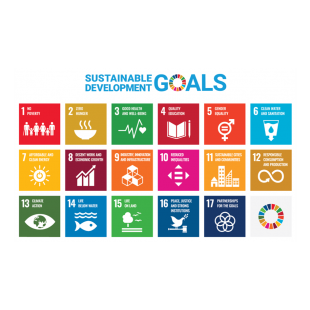 SDGs.png