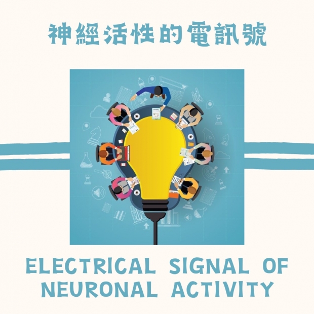 S__142958609.jpg S__142958609.jpg